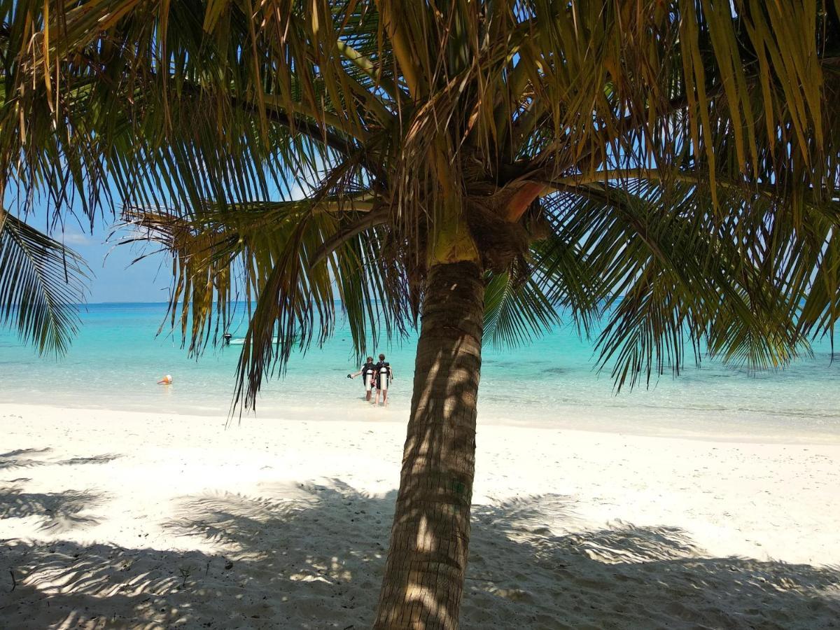Dhigurah Beach Inn Eksteriør billede